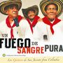 Los Gaiteros De San Jacinto: Un Fuego De Sangre Pura, CD