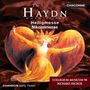 Joseph Haydn: Messen Nr.6 & 10 ("Nikolai-Messe" & "Heilig-Messe"), CD