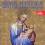 : Rosa mystica, CD
