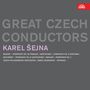 Karl Sejna, CD
