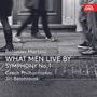 Bohuslav Martinu: What Men Live By (Oper in einem Akt), CD