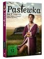 : Pastewka Staffel 8, DVD,DVD,DVD