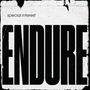 Special Interest: Endure, CD