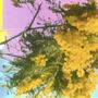 Four Tet: Into The Dust (Still Falling), MAX