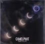 CamelPhat: Dark Matter, LP,LP,LP