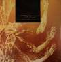Tool: Fear Inoculum (180g) (Black Vinyl), LP,LP,LP