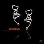 Ivo Perelman & Matthew Shipp: Amalgam, CD