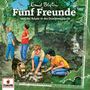 : Fünf Freunde (Folge 149) - und der Schatz in der Drachenschlucht, CD