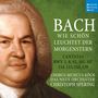 Johann Sebastian Bach: Kantaten BWV 1,8,92,101,107,114,123,133,139, CD,CD,CD