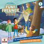 : Fünf Freunde JUNIOR (08), CD