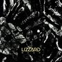 Lizzard: Mesh, LP