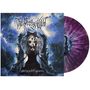 Pretty Wild: zero.point.genesis (Limited Edition) (Black in Purple Colour-in-Colour with White Splatter Vinyl), LP