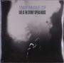 Tommy Emmanuel: Live At The Sydney Opera House, LP,LP