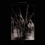 Zouz: Jours De Cendre, CD