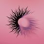 AFI (A Fire Inside): Silver Bleeds the Black Sun..., CD
