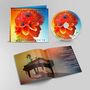 RICCARDO COCCIANTE - HO VENT'ANNI CON TE. CD-Hülle mit farbenfrohem Porträt und Innenheft mit Piano-Foto.