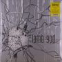Covertext: "Lamb of God, Into Oblivion". Metallische Struktur mit Kabeln, die sich in alle Richtungen erstrecken.