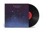 "Willie Nelson Stardust"; Schallplattencover in Dunkelblau mit leuchtenden Sternen. Schwarze Vinyl-Schallplatte rechts.