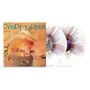 Text: "CYNDI LAUPER TRUE COLORS". Cover zeigt Person mit buntem Haar auf Sand. Zwei Schallplatten mit buntem Muster.