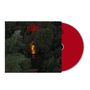 Texte: "Old Flames", rotes CD-Cover. Dichtes Waldgebiet mit einem hellen Lichtschein in der Mitte.