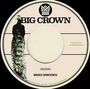 "BIG CROWN" und "Houdini" sowie "Marco Benevento" steht auf einer Schallplatten-Optik mit Pfauenabbildung und Logo oben.