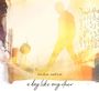 Darshan Ambient: A Day Like Any Other, CD