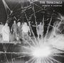 The Terminals: Singles & Sundries, LP