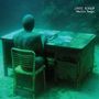 Eddie Vedder: Ukulele Songs (180g), LP