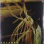 Sarah Kinsley: Escaper (Limited Edition) (Milky Clear Vinyl), LP