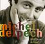 Michel Delpech: Les Plus Grands Succes En Version..., CD