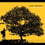 Jack Johnson: In Between Dreams, CD