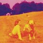 Eels: Blinking Lights And Other Revelations, CD