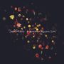 Snow Patrol: A Hundred Million Suns (Limited Deluxe Edition CD + DVD), CD