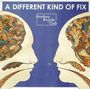 Bombay Bicycle Club: A Different Kind Of Fix, CD