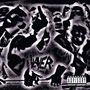 Slayer: Undisputed Attitude (Explicit), CD