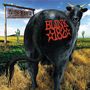 Blink-182: Dude Ranch (180g), LP