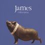 James (Rockband): Millionaires (180g), LP,LP