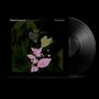 Text: "Daniel Lanois Belladonna Nocturne". 
Dunkles Albumcover mit Schmetterling und abstrakten Blumenmustern. Vinyl-Schallplatte sichtbar.