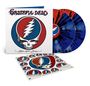 "Grateful Dead" und "Steal Your Face" sind in einer Illustration eines Totenkopfs mit blau-rot Blitz und bunten Schallplatten sichtbar.