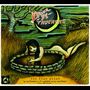 „Drive-By Truckers“, „the fine print“, 2003-2008. Illustration: Frau in einem Brunnen, Mond, altes Auto, knorriger Baum.