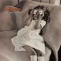 Buffalo Tom: Sleepy Eyed, CD