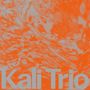 Kali Trio: The Playful Abstract (LP), LP