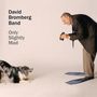 David Bromberg: Only Slightly Mad, CD