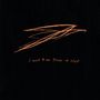 Andrew Bird: Want To See Pulaski At Night, CD