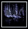 Matt Chamberlain: Company 23, LP