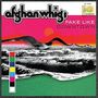 Text: „afghan whigs FAKE LIKE DOWNTOWN“. Oben bunte, surrealistische Landschaft, unten grün. Retro-Design.
