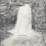 Joseph Decosimo: Fiery Gizzard, LP