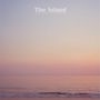 Chris Forsyth & Koen Holtkamp: The Island, LP