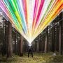 Kein Text vorhanden. Ein Mann im Anzug steht in einem Wald, aus seinem Kopf strahlen bunte Lichtbündel.