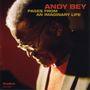 Andy Bey: Pages From An Imaginary Life, CD